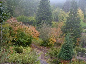 sandy__Tilden_Botanic_Garden_(4_of_23)