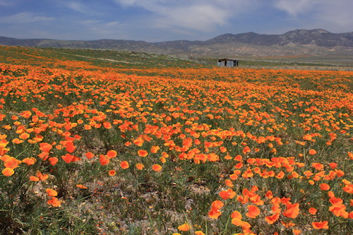 Photo by Spencer Westbrook