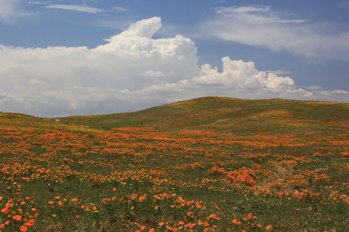 Photo by Spencer Westbrook