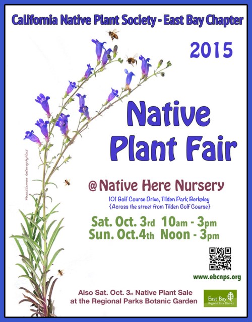 plant-fair-poster-2015-900-799x1024