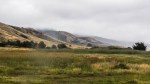 Limantour area at Pt.&nbsp;Reyes