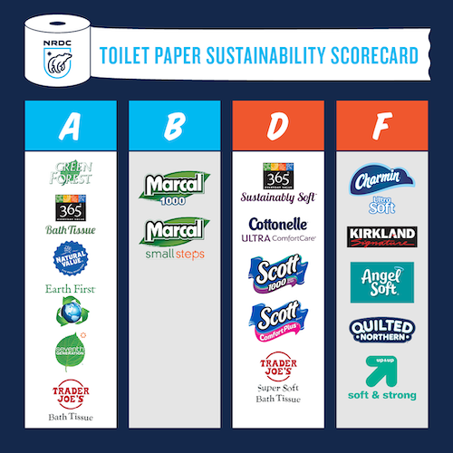boreal_toiletpaperscorecard_1080x1080.png