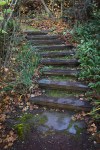 Garden_Steps