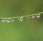 Rain_Drops-2