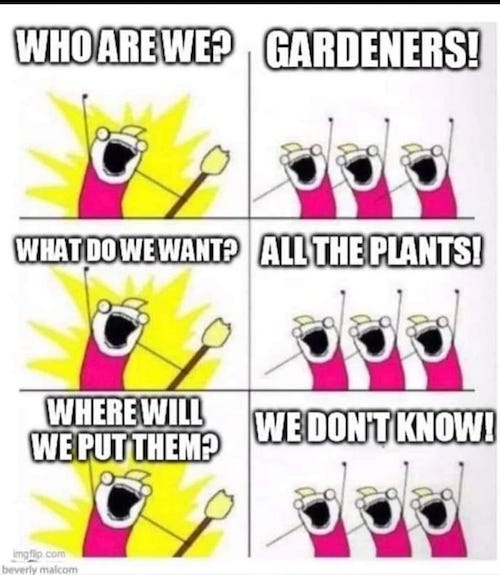 Plant Lovers | Natural History Wanderings